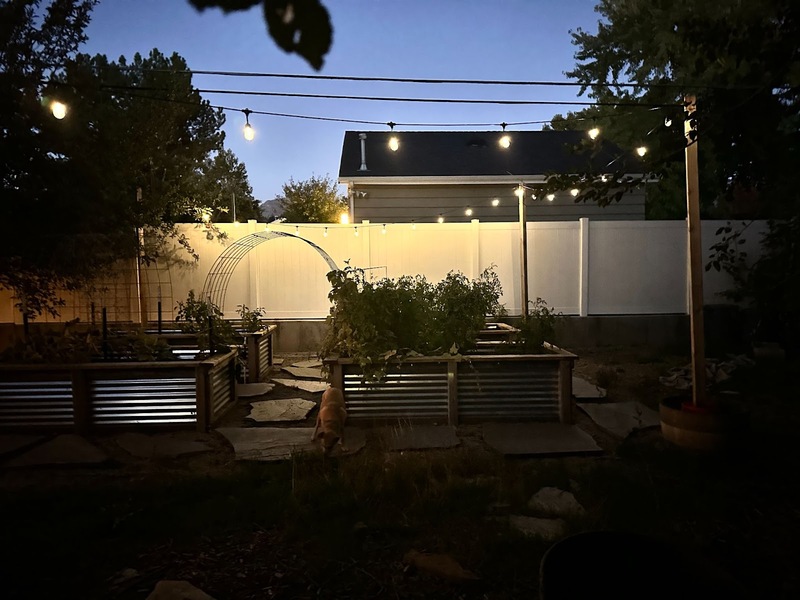 garden lighting with solar powered string lights